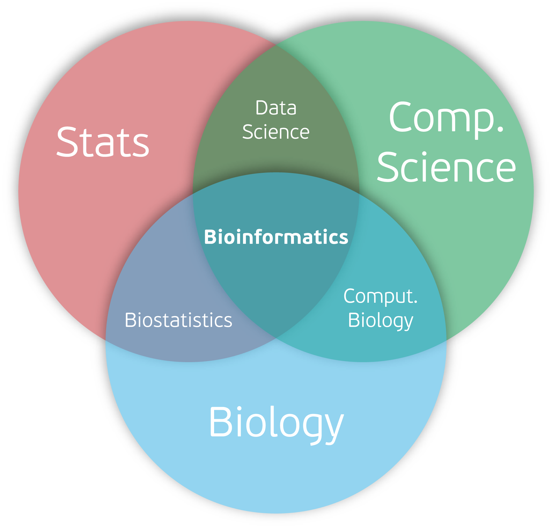 What is Bioinformatics